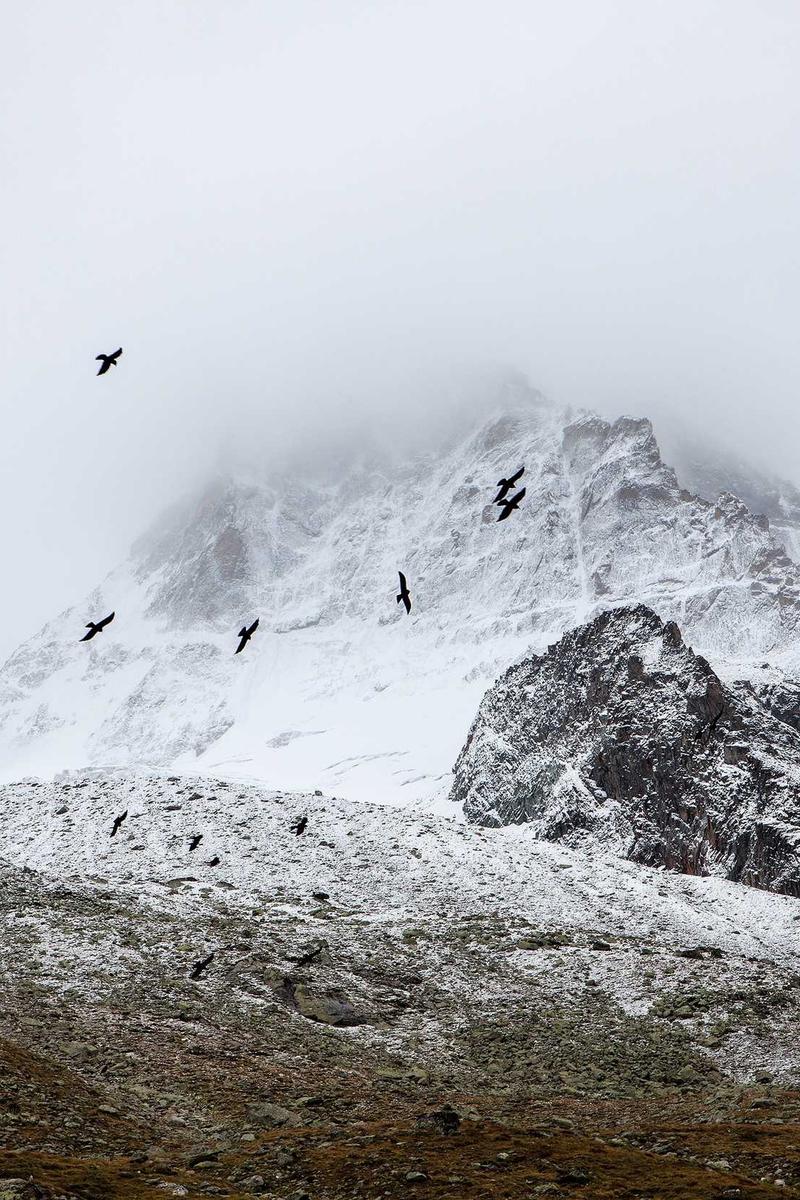 我们的美好瞬间 18